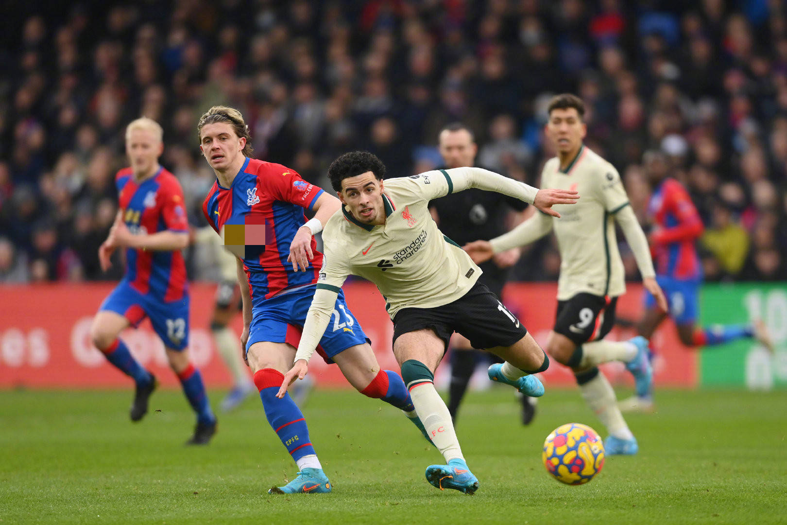 家马德里卡 家马德里卡